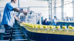 Credito R&S nell'Industria Alimentare