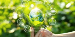 Bando nazionale green new deal