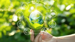 Bando nazionale green new deal