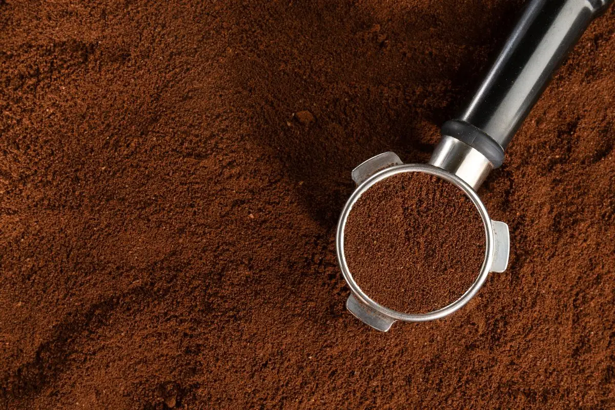 I fondi di caffè sono davvero utili per tutte le piante? La verità che i giardinieri non dicono